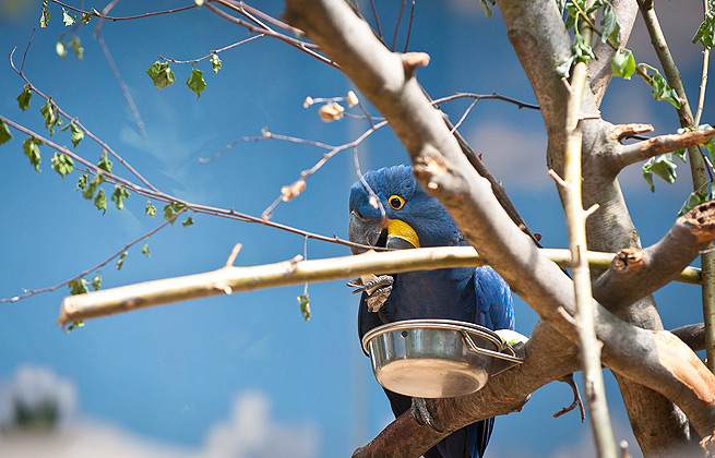 发卡平台直营的ip攻击器网页版