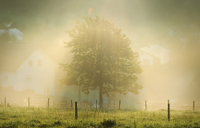 账号体验码的网站攻击器