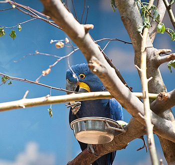 怎么去攻击一个网站与防护