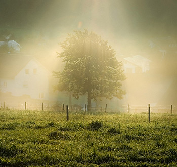 免费ddos攻击网页端