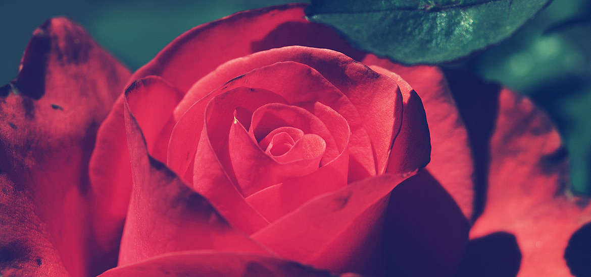 免费ddos在线攻击测试网站